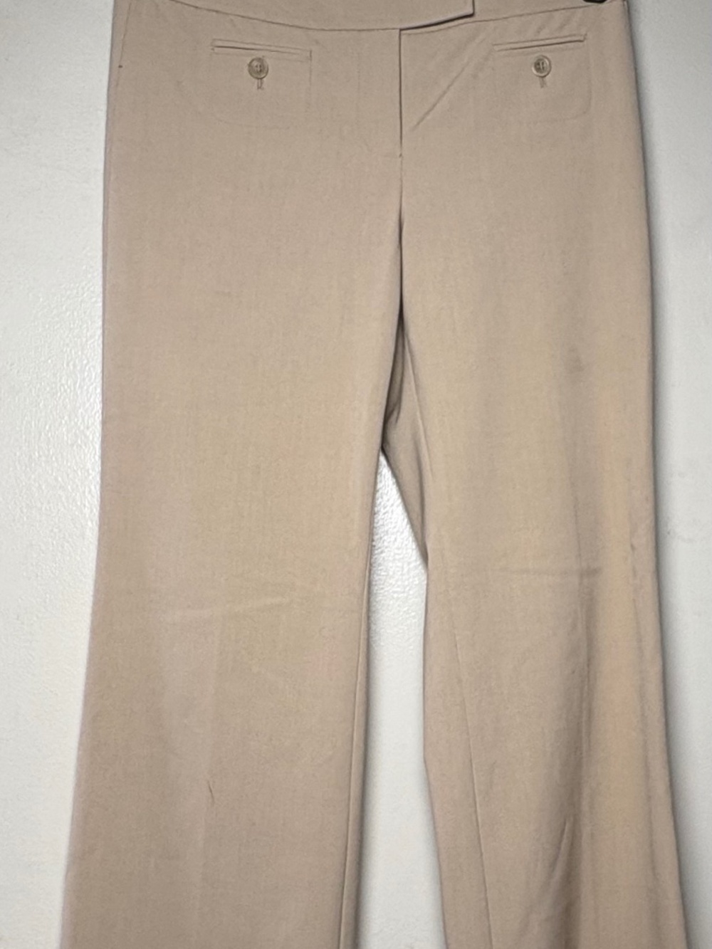 LOFT Petites Pants Beige 0P